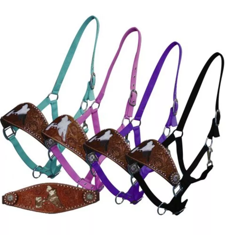 #15822: Showman adjustable nose nylon bronc halter with nickle plated hardware and eyelets Purple