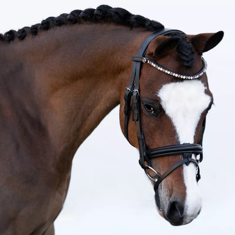 'Megan' convertible leather bridle (all sizes) Black