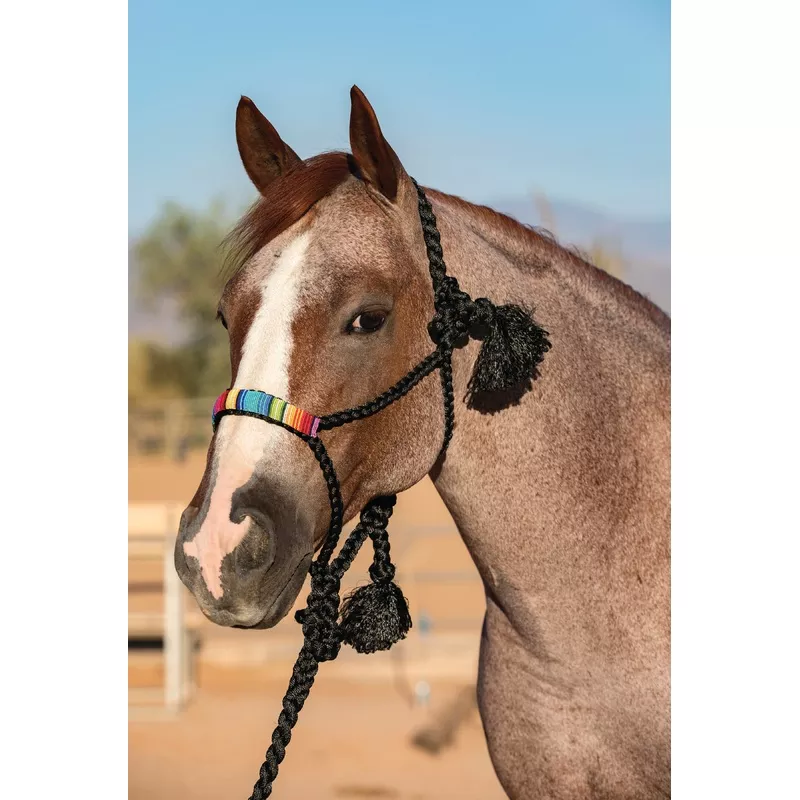 *Professional's Choice Cowboy Braided Halter Beaded Black/Serape