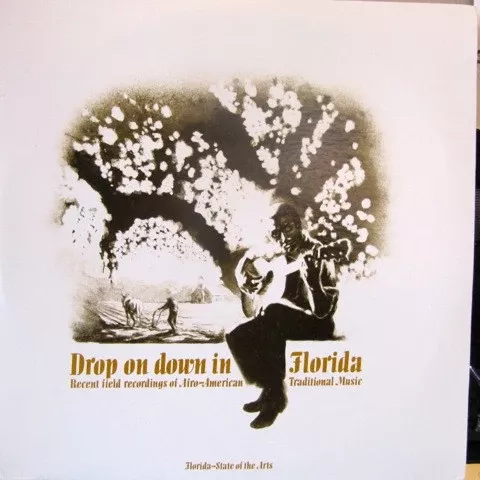 Various - Drop On Down In Florida (2xLP, Album)