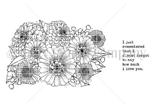 Zinnia